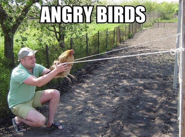 РаЗноЕ юмора часть Angry-birds