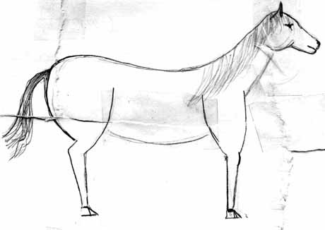 Прикольные рисунки лошадей