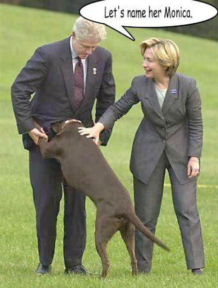 Собака и Клинтон
